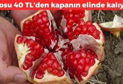 Kilosu 40 TL! Ömrü 10 yıl uzatıyor: Yiyenler 100 yaşına kadar yaşıyor, saniyesinde kana karışıp kan şekerini dengeliyor, kansızlığın kökünü kurutuyor, kabızlığa iyi geliyor