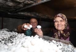 63 Yaşındaki kadının hobisi ekmek teknesi oldu!'Zarar edersin hiç bulaşma' diyenlere inat başladı: Şimdi siparişlere yetişemiyor