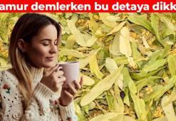 Ihlamuru böyle demleyin! Faydası 5 kat artıyor: İçine 1 dilim ekleyince tadını uçuruyor