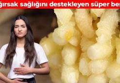 Bağırsakları baştan aşağı yeniliyor! Probiyotik zengini besin: Sindirimi kolaylaştırıyor, zararlı mikroorganizmaları engelliyor