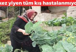 Dünyanın en zengin magnezyum kaynağı oymuş! Fosfor, manganez, demir deposu, 1 kaşık yiyen 100 yaşına kadar yaşıyor