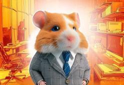 Hamster Kombat günlük şifre 9 Aralık 2024 | Hamster Kombat bugünün şifresi ne? Hamster Kombat günlük şifre nasıl kullanılır?
