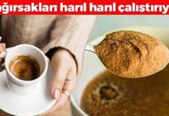 Kahvenin içine kaşık kaşık ekleyince bağırsakları harıl harıl çalıştırıyor! Bel, basen ve göbekteki yağları eritip 90-60-90 beden ölçülerine kavuşturuyor!