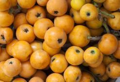 Yeni dünya faydaları ve sağlığa etkileri: yeni dünya nasıl tüketilir?