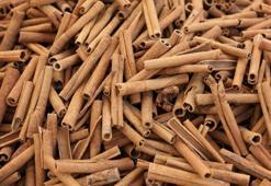 Tarçın faydaları: Tarçın Nasıl tüketilir ve sağlık üzerindeki etkileri nelerdir?