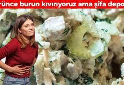 Tadını kimse sevmiyor ama tam bir şifa deposu! A, K ve C vitamini içeriyor: Sindirim sistemini makine gibi çalıştırıyor