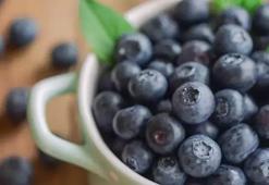 YABAN MERSİNİNİN FAYDALARI NELERDİR? YABAN MERSİNİ NASIL TÜKETİLİR, NE İŞE YARAR?