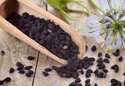 ÇÖREK OTUNUN FAYDALARI NELERDİR? ÇÖREK OTU NASIL TÜKETİLİR, NE İŞE YARAR?