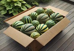 KAVUNUN FAYDALARI NELERDİR? KAVUN NASIL TÜKETİLİR, NE İŞE YARAR?