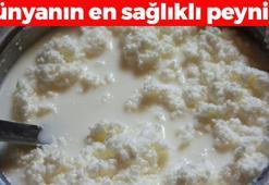 Dünyanın en sağlıklı peyniri! Kaşık kaşık yiyince kemikleri beton gibi güçlendirip uykuda bile kas yaptırıyor! B12 seviyelerini zirveye taşıyor