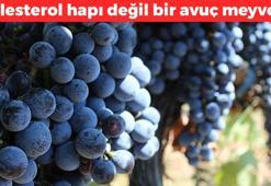 Kolesterol hapı değil meyve! Günde 1 tane aç karnına yiyin: Kolesterolü yere çakıyor, lavabo gibi tıkanmış damarları tertemiz yapıyor, kanı çamaşır suyu gibi temizliyor