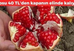 Pazarda kilosu 40 TL'den satılıyor! Tanesi ömrü 10 yıl uzatıyor:  Tüketenler 100 yaşına kadar yaşıyor, saniyesinde kana karışıyor, kansızlığın kökünü kurutuyor