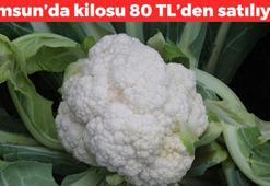 Samsun'da hasadı devam ediyor! Kilosu 80 TL: Kan şekerini saniyesinde dengeliyor: Kalıcı yağları mum gibi eritiyor, karaciğerdeki yağları vakumluyor