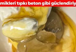 Kalbin en iyi dostu! Kemikleri beton gibi güçlendiriyor, tahinin içine 1 bardak eklemek yetiyor! Ispanaktan 8 kat daha etkili, kolesterolü bitiriyor!