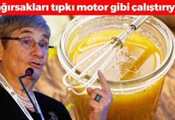 Canan Karatay ısrarla tavsiye ediyor! Bağırsakları harıl harıl çalıştırıp kötü kolesterolü damardan kazıyor! Anne sütünden bile daha etkili