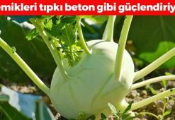 İlaç gibi sebze: Demir ve folik asit zengini, pazarda kapış kapış gidiyor! 1 kez yiyen 30 yıl hastalanmıyor, kemikleri beton gibi yapıyor