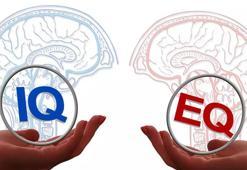 Duygusal Zekanın Önemi: Türkiye'de Yeni Bir Başarı Ölçütü