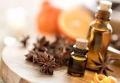 Sindirimi kolaylaştıran besin: Anason