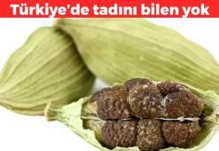 İsveç'te altın değerinde Türkiye'de tadını bile bilen yok! Demir, sülfür, magnezyum, kalsiyum depolarını fullüyor: İçeriği en zengin gıdalar arasında yer alıyor
