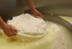 Kalsiyum deposu besin! Kemikleri taş gibi kuvvetlendiriyor: Bağırsakları motor gibi çalıştırıyor