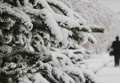 BUGÜN OKULLAR TATİL Mİ? 19 ARALIK PERŞEMBE KAR TATİLİ OLAN İLLER || Bugün okul var mı, tatil edildi mi? Valilik açıklamaları ile tatil edilen bölgeler...