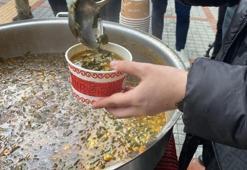 Karadeniz'in şifa deposu: Portakaldan 20 kat fazla c vitamini barındırıyor: Kalsiyum, potasyum, kükürt, magnezyum, bakır ve demir  zengini