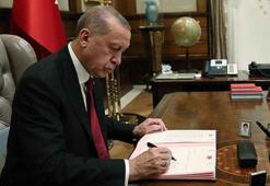 Cumhurbaşkanı Erdoğan 14 üniversiteye rektör atadı