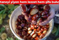 Kestane kebap yemesi sevap! 100 gramı magnezyum deposu: Lif içeriğiyle sindirim sistemini motor gibi çalıştırıyor