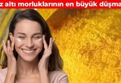 Göz altı morluklarını tarihe karıştırıyor! 3 malzemeyle evde hazırlanıyor: Kan dolaşımını hızlandırarak cilt tonunu eşitliyor