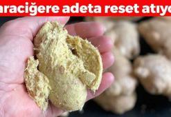 Karaciğeri resmen yeniden doğmuş gibi yapıyor! Her sabah aç karnına 1 kaşık yutmak yetiyor: Bağırsakları fokur fokur çalıştırıp ömre 10 yıl ekliyor!