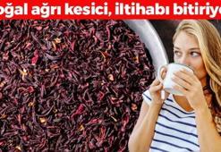 Türkiye'de yetişiyor ama kıymetini bilen yok! Sıcak suda 5 dakika demleyin: Doğal tansiyon ilacı, iltihabın kökünü kurutup tıkalı bağırsakları boşaltıyor!