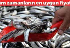 Tüm zamanların en düşük fiyatını gördü! Bir parça limonla pişirince etkisi 50 kat artıyor! Dünyanın en zengin omega-3 kaynağı