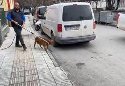 Kayıp ihbarından vahşet çıktı