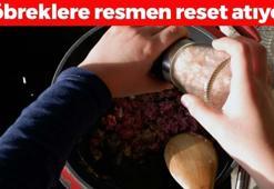 Beyazı böbrekleri bitiriyor ama o renktekini kullanınca demir, sodyum ve kalsiyum depolarını fullüyor! Öksürük krizlerini bitirip böbreklere reset atıyor!