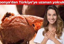Japonya kökenli meyve Türkiye'de yetişiyor! 1 adedi vücudu dip köşe temizliyor: Bağışıklık sistemini demir gibi yapıyor