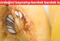 Çekirdeğini kaynatıp her gün 1 bardak için! Safra kesesi ve karaciğere format atıyor: Kolesterolü damardan kazıyıp atıyor