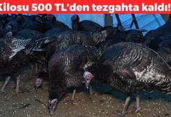 Yılbaşının vazgeçilmezi tezgahta kaldı! Kilosu 500 TL ama satın alan yok