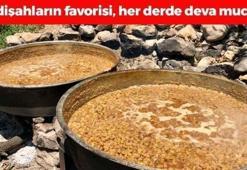 İbrahim Saraçoğlu açıkladı: Egzamanın en doğal çaresiymiş, tıkalı damarları yağ çözücü gibi açıyor! Padişahların doğal şeker ilacı