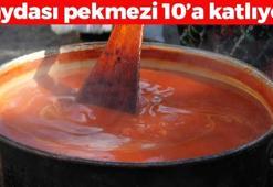 Pekmezden 10 kat daha faydalı! C vitamininde portakalı solluyor, bağırsakları makine gibi çalıştırıyor! Böbreklere reset atan mucize