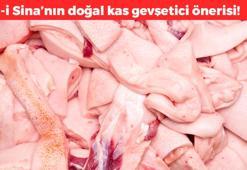 İbn-i Sina'dan kemiklere şifa veren öneri! 20'den fazla vitamin içeriyor: Eklem ve kemik ağrılarının kökünü kurutuyor, doğal kas gevşetici