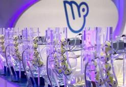 MİLLİ PİYANGO SONUÇLARI CANLI YAYIN | Milli Piyango sonuçları saat kaçta açıklanacak? Milli Piyango bilet sorgulama ekranı