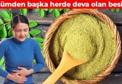 'Mucize bitki' olarak da biliniyor! Damarda öbek öbek biriken yağı çözüyor: Reflü ve hazımsızlıkla mücadele ediyor