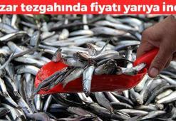Fiyatı yere çakıldı! Dünyanın en zengin Omega-3 kaynağı: Haftada 2 kez yiyenler 100 yaşına kadar yaşıyor: Kan basıncını dengeliyor