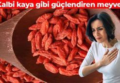 'Kurt üzümü' olarak da biliniyor! Çinliler ve Japonlar avuç avuç yiyor: Kolesterolü damardan söküp atıyor