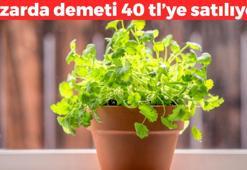 Toprak gibi bereketli! Evde saksıda yetiştirebilirsiniz: Pazarda demeti 40 TL