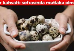 Yumurtanın en faydalı hali! Fosfor, çinko ve protein deposu: Kansersavar besinler arasında yer alıyor
