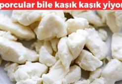 Ağaç gibi sağlamlaştırıyor! 1 kaşığında 4 gram protein var: Kas kütlesini artırıp kemikleri proteinle yıkıyor