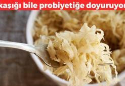 Turşusunu kuran pişman olmuyor! Laktaz enzimini artırıyor: Dünyanın en güçlü probiyotiği