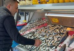 Balık tezgahında şenlik havası var! Kilosu 100 TL'den satılıyor: Vücudu Omega-3 deposuna çeviriyor, kış boyu tüketen şifa buluyor