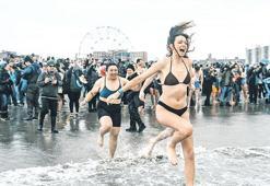 Kutup ayısı dalışı